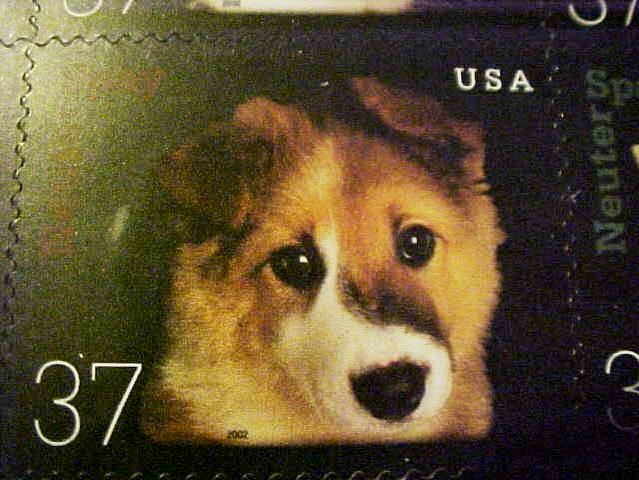 stamp03.jpg